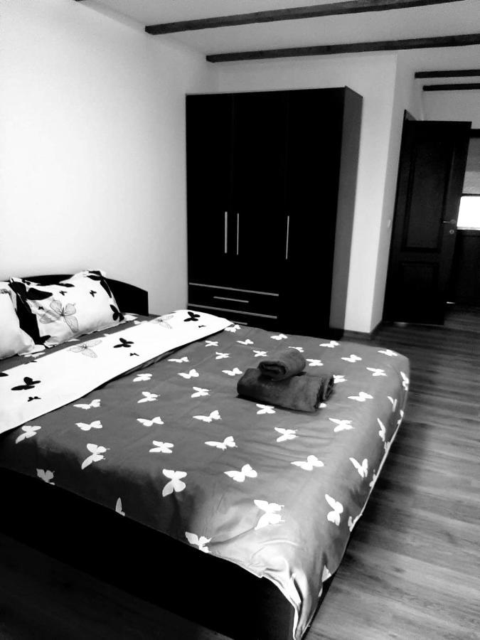 Casa De Vacanta Sadu Ngoại thất bức ảnh