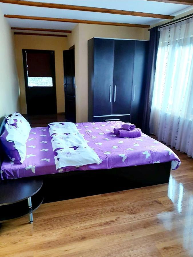 Casa De Vacanta Sadu Ngoại thất bức ảnh